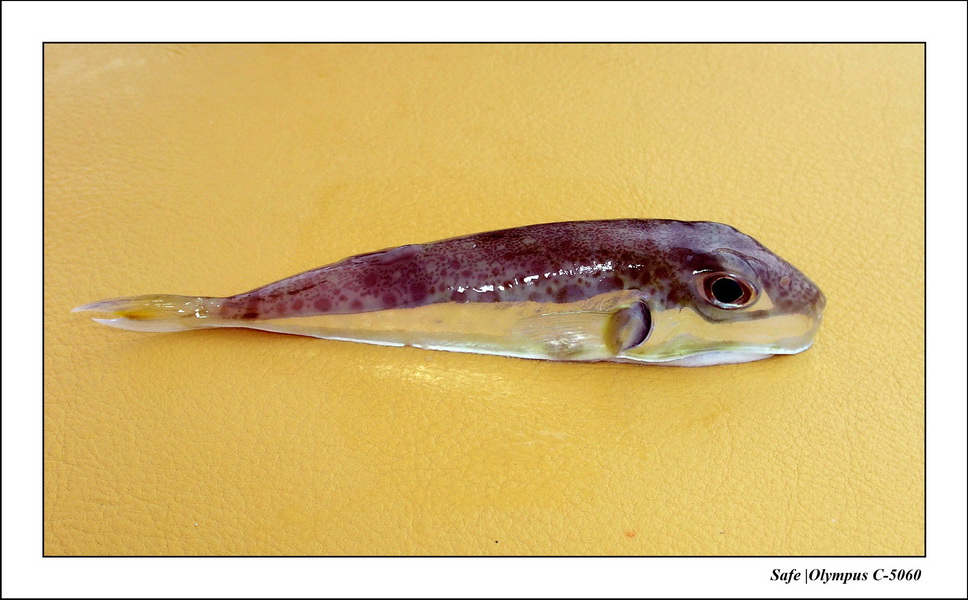 2005 - 08 - Perhentian  - 187.JPG